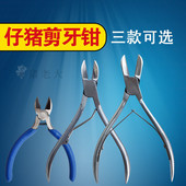 不锈钢剪牙钳大号猪用剪仔猪修牙专用断牙钳养猪场设备