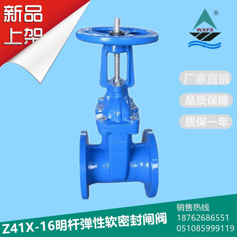Z41X-16球墨铸铁明杆软密封法兰弹性座封闸阀DN50DN100DN150DN250