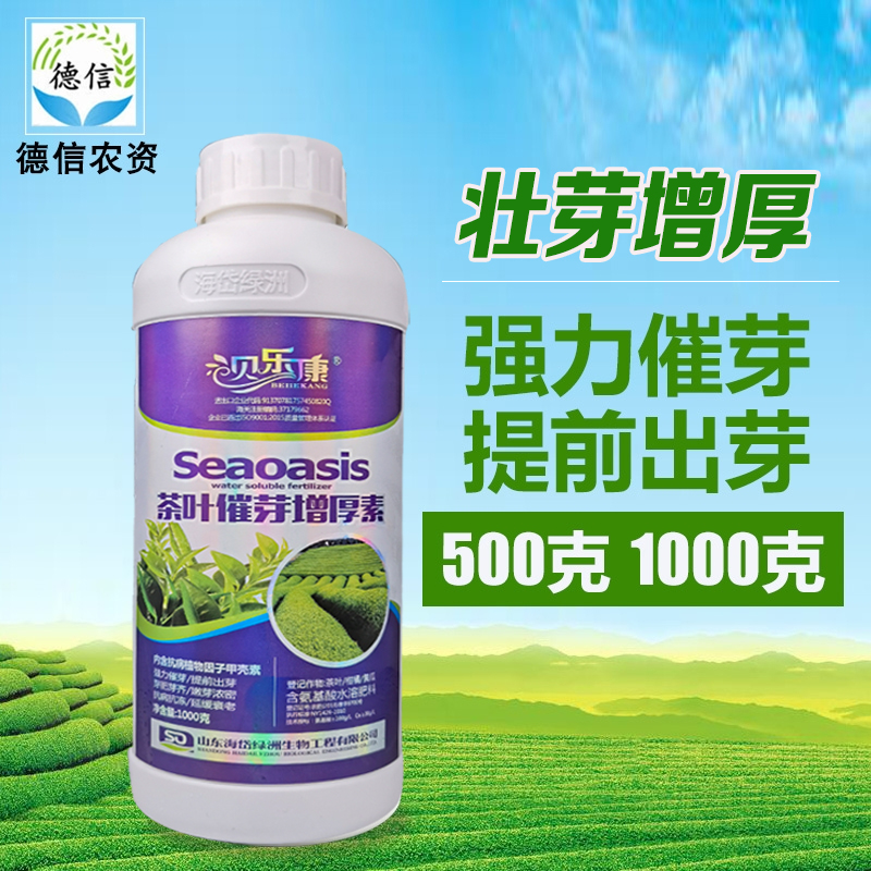 茶叶茶树b专用叶面肥 海岱茶叶催芽剂催芽素多芽嫩芽暴芽增产包邮