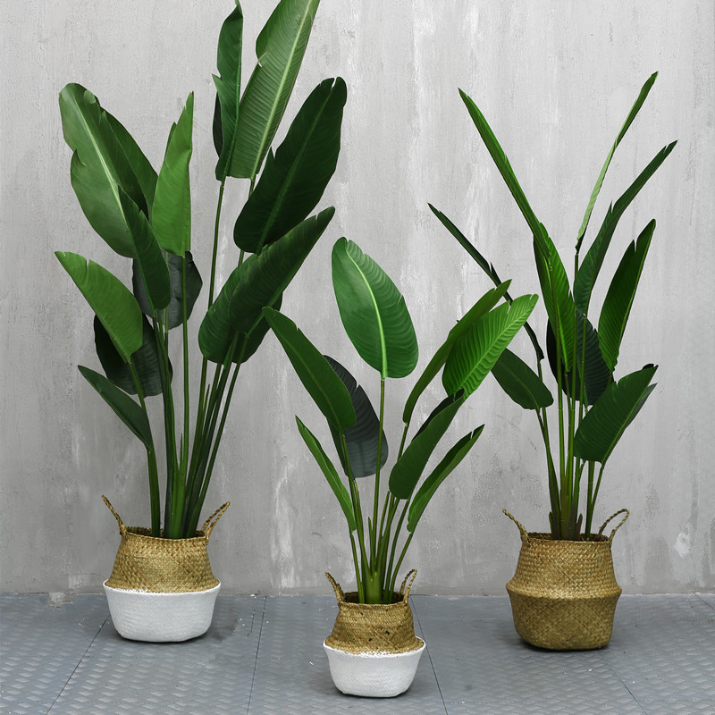 室内装饰花卉绿植盆栽仿真植物摆件客厅落地假花旅人蕉龟背叶盆景