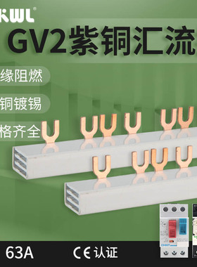 GV2电动机断路器3P紫铜汇流排NS2马达保护63A间距45 U型接线端子