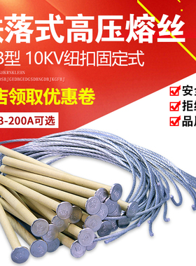 ABB户外高压10KV 跌落式熔断器NCX保险丝 熔丝带扣扭扣头固定式