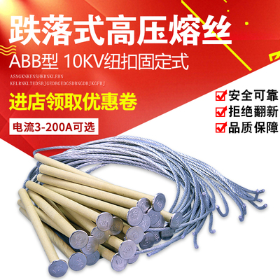 ABB户外高压10KV 跌落式熔断器NCX保险丝 熔丝带扣扭扣头固定式