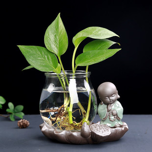 水培花瓶子陶瓷小清新花器创意摆件客厅插花水养绿萝玻璃透明器皿