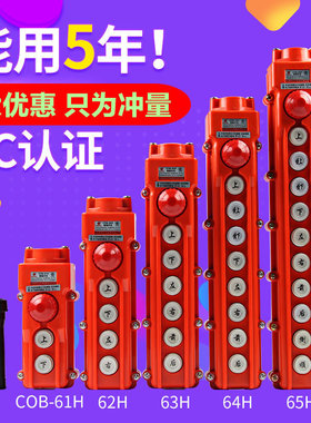 COB-61H 62H 63H 64H 65H行车按钮开关 防水起重控制盒电动葫芦