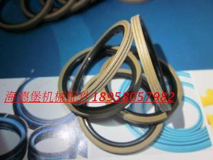 TG4 M16 YRBT 孔用回转格莱圈GNS旋转方形密封件C732