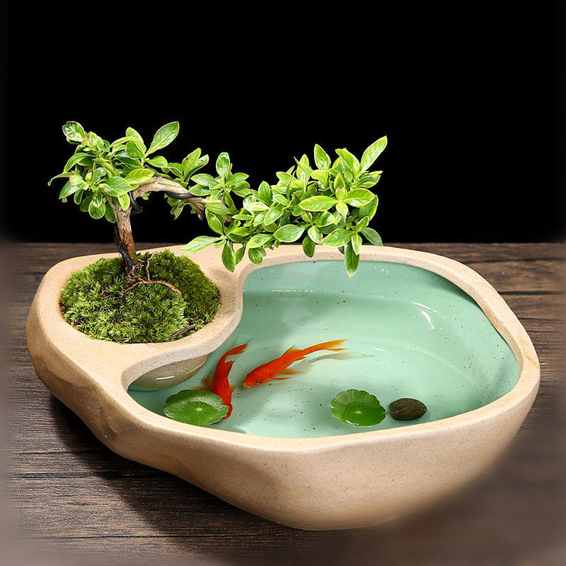 铜钱草水培花盆陶瓷大号特价清仓多肉盆栽盆创意水养绿萝水仙碗莲