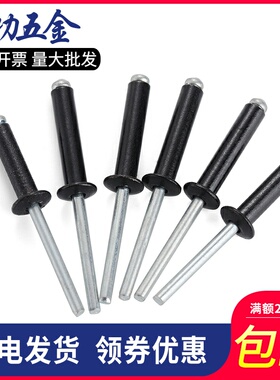 黑色铝制抽芯铆钉开口型拉铆钉 铝拉钉 烤漆装潢钉 3/3.2/4/5 6L