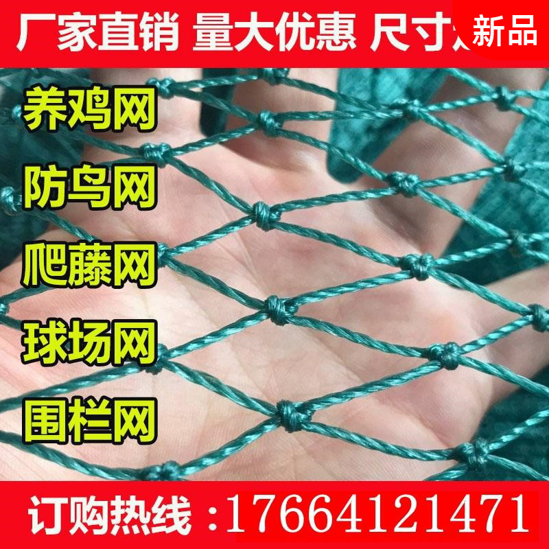 尼龙拦网围栏尼龙网网格塑料网小孔护栏网爬藤家用网子隔离网塑料