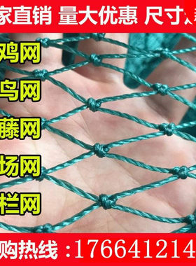 尼龙拦网围栏尼龙网网格塑料网小孔护栏网爬藤家用网子隔离网塑料