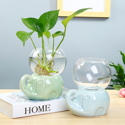 创意绿萝水培植物玻璃透明水养花瓶插花容器陶瓷花盆器皿装饰摆件