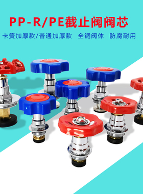 三中金牛 水管管材PE截止阀手轮全铜阀芯PPR加厚开关闸阀水暖配件