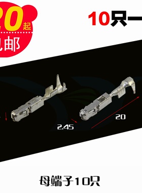 汽车接插件线束改装BCM连接电线接头J519车用控制器接线端子10只