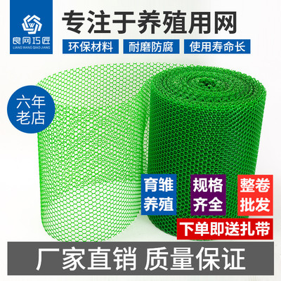 塑料平网养殖网育雏漏粪脚踩网苗床网养鸭鸡鹅蜂阳台防护网垫脚网