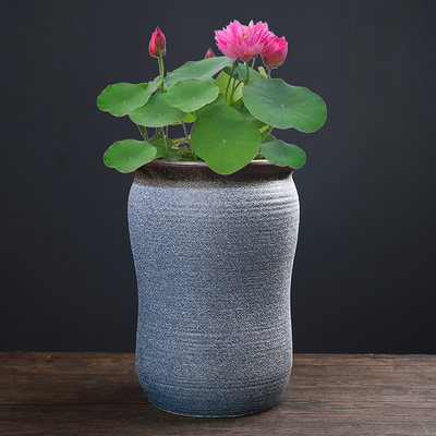 大号碗莲专用陶瓷花盆水养植物一叶莲睡莲盆缸铜钱草荷花水培容器