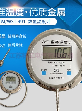 数显温度计 带探头WST/DTM-491高精度测温仪 工业数字水温表