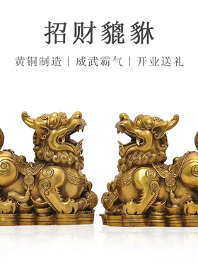 纯铜招财貔貅摆件皮丘一对客厅新A房客厅公司办公室饭店大堂工艺