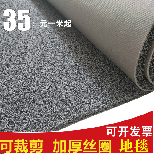 PVC塑料地毯g丝圈脚垫/室外防水门口进门地垫可裁剪门垫地毯大面