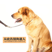 P链冲训犬专业P字链中大型犬狗批链子p绳狗狗牵引绳