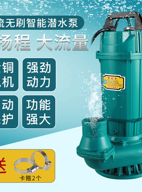 无刷直流潜水泵vvv7v伏通用浇地灌溉车电动抽水泵