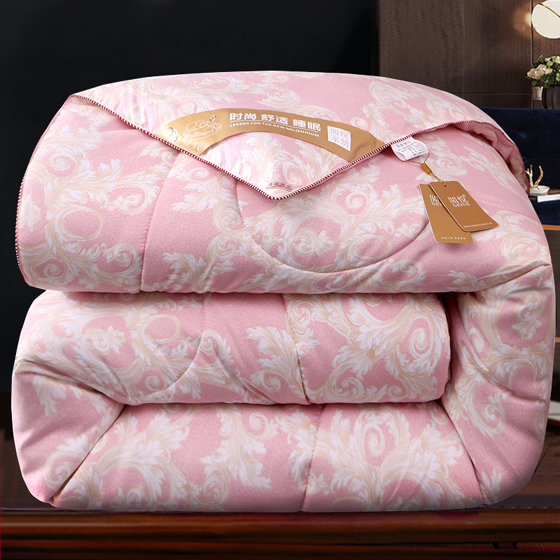 加厚被子丝棉被芯太空春秋u单人学生宿舍双人冬天保暖冬被10斤冬