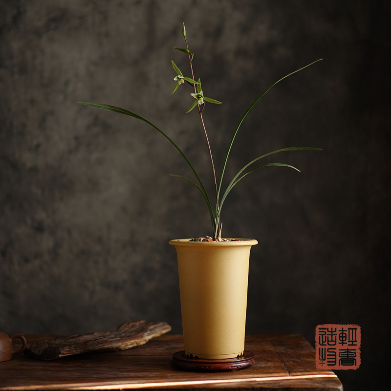 轻奢 东门c笼香原矿老段泥紫砂兰花盆寒兰盆春兰盆莲瓣兰盆引种盆