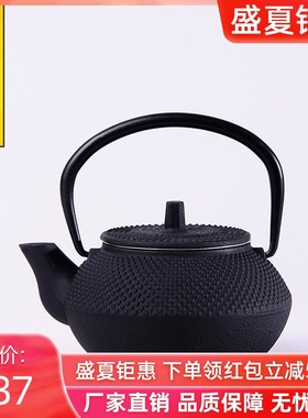 典工堂中式茶壶小粒子功夫茶壶铁壶铸铁壶南部生铁壶配滤网复古风