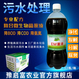em菌液化粪池生物分解剂养猪场除臭剂垃圾厕所污水处理剂微生物菌
