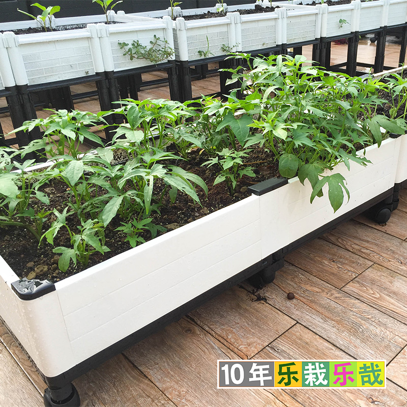 种菜盆阳台种f植箱白50宽100长方形特大种菜箱楼顶种菜花架架子