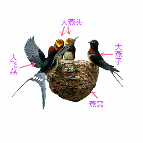 仿真燕窝展翅飞燕子小鸟装饰品墙饰壁饰家居装饰客厅幼儿园装饰