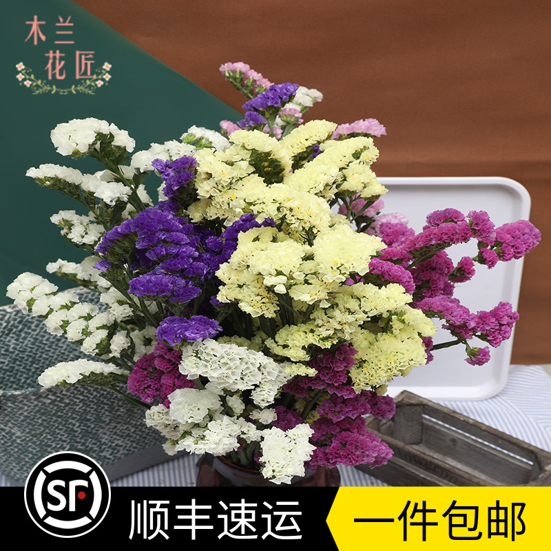 新鲜勿忘我混搭家庭饰品家居摆设办公装饰拍摄道具一件包邮