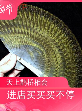 正宗四川金丝楠木小叶桢楠阴沉乌木苏扇满水波实木扇子工艺品摆件