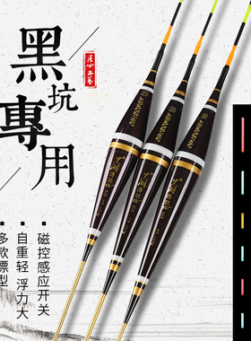黑潮传说夜光漂超长夜钓电子漂加长黑坑鲤鱼漂高灵敏水无影流氓漂