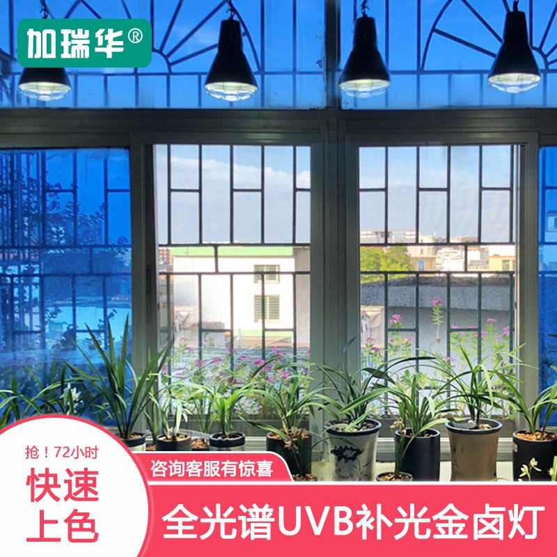 加瑞华金卤灯uvb全光谱家用植物生长灯多肉补光灯仿太阳上色防徒