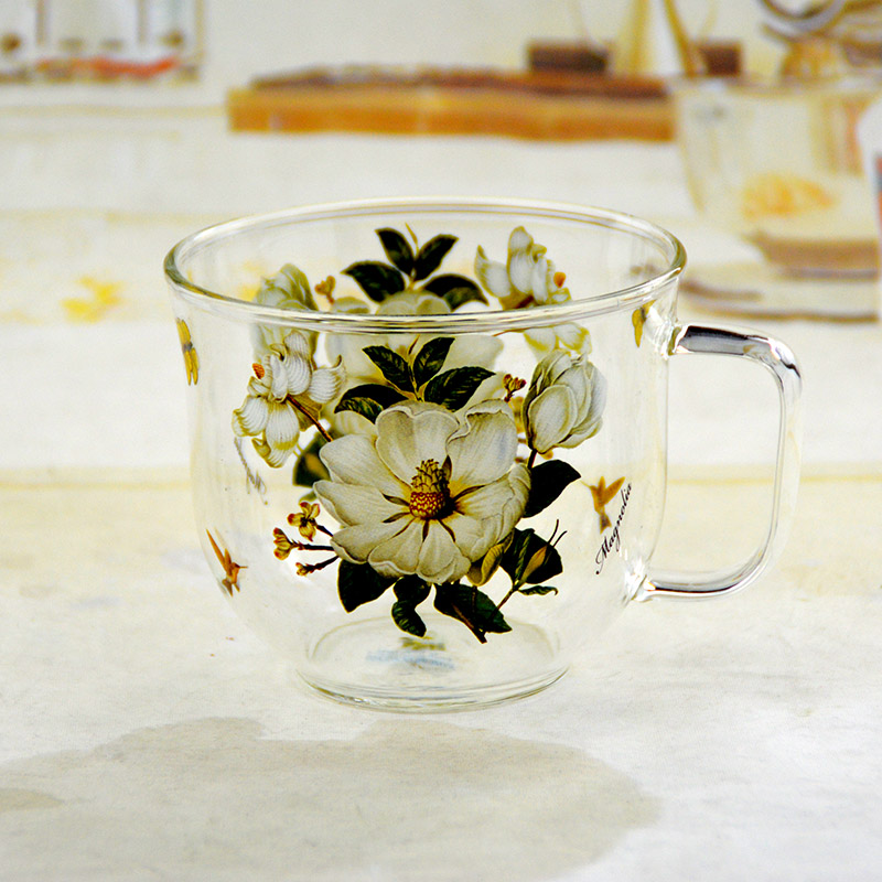 韩国印花玻璃杯咖啡燕麦早餐杯子家用水杯可爱女大容量耐热牛奶杯