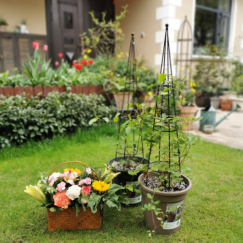 爬藤架铁线莲龟甲龙铁艺锥形攀爬花架球兰园艺架阳台藤本番茄架子,鲜花速递/花卉仿真/绿植园艺,花架,淘宝优惠券,粉丝福利购,淘宝优惠卷