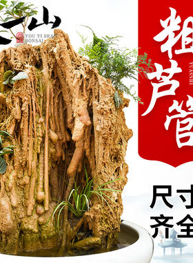 上水石造景吸水石原石大块芦管石钟乳石假山盆景微景观装饰小摆件
