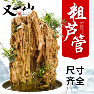 上水石造景吸水石原石大块芦管石钟乳石假山盆景微景观装饰小摆件