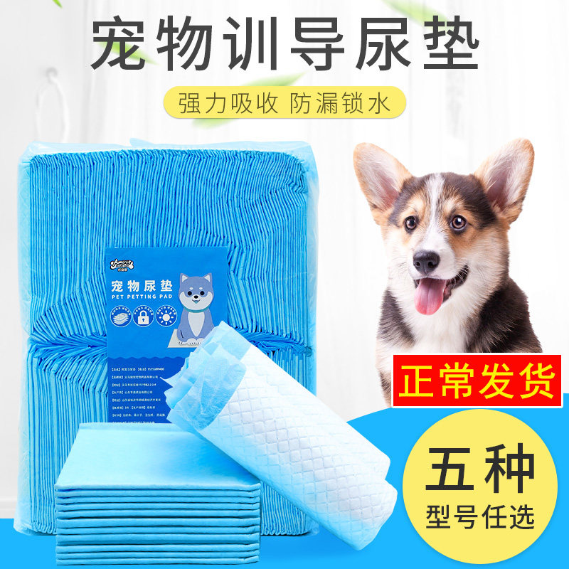 狗狗尿垫尿不湿尿布猫咪尿片加厚吸尿纸一次性宠物吸水卫生生产垫,宠物/宠物食品及用品,尿片/尿垫/护垫,淘宝优惠券,粉丝福利购,淘宝优惠卷