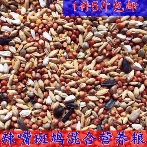 斑鸠粮食辣嘴子粮食鸟食鸟粮斑鸠食物鸽粮山鸡饲料辣嘴食五斤包邮