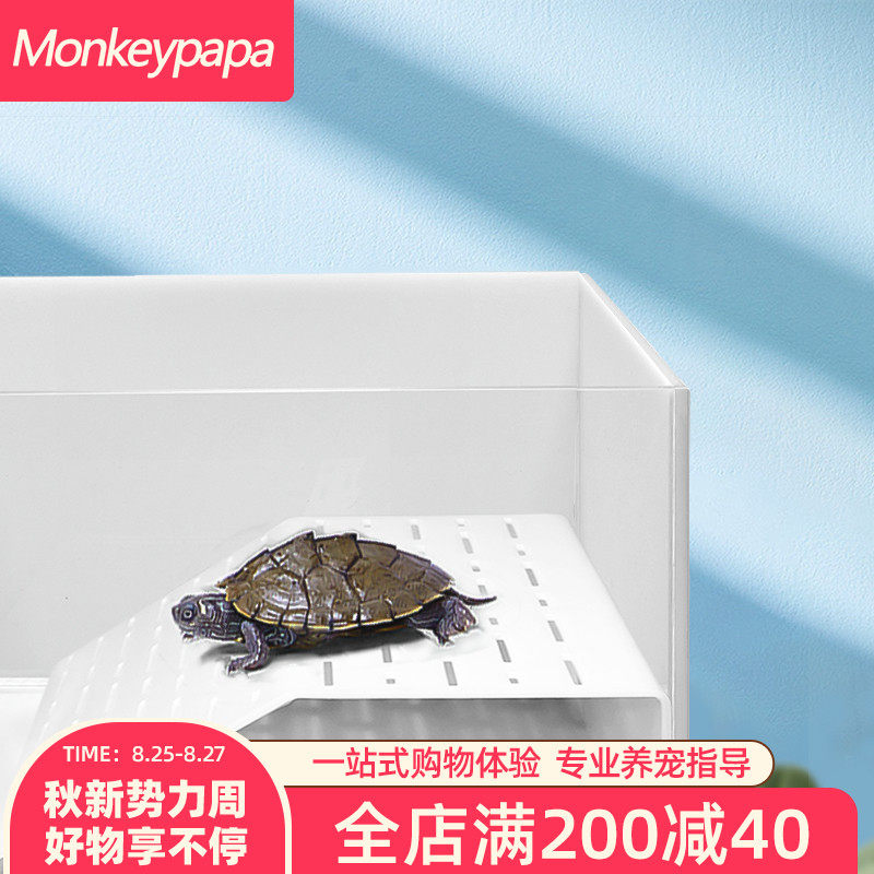 乌龟晒背浮岛水龟晒台乌龟晒台爬台爬坡宠物下沉式塑料龟台躲避,宠物/宠物食品及用品,爬宠缸/箱,淘宝优惠券,粉丝福利购,淘宝优惠卷