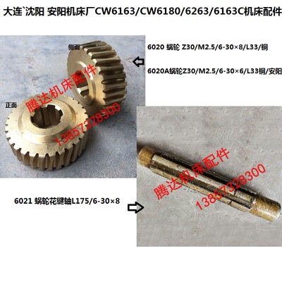大连沈阳安阳CW6163/CW6180/6263车床配件6020 6021蜗轮Z30轴L175