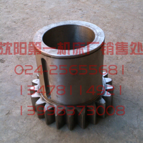 中捷友谊厂中捷镗床配件 T6113 TPX6113 21312A 齿轮 Z22 M4 孔60
