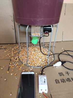 远程信鸽子鸡鸭鹅兔子鱼鸟自动喂料机喂食器投料机定时用品用具