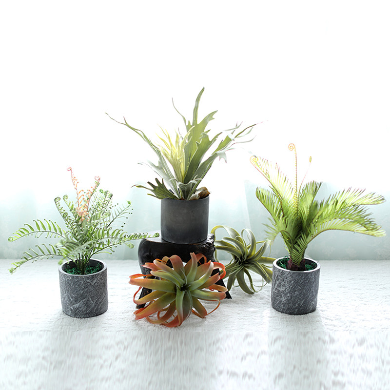 北欧ins绿植仿真植物小盆栽客厅家居室内假花盆景桌面多肉摆件