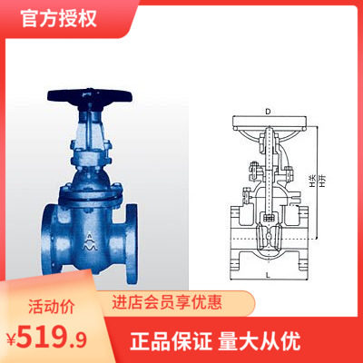 埃美柯6196B铸铁明杆法兰闸阀DN50---DN300铜芯明杆Z41T-16