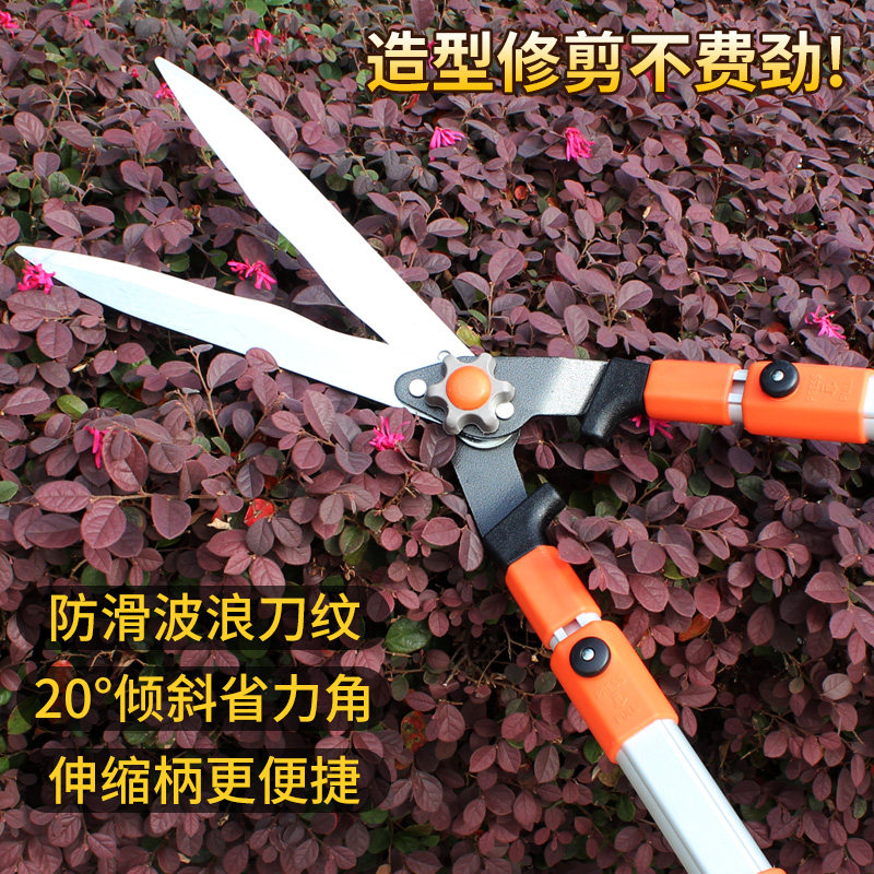 花剪园艺剪刀修枝剪修剪树枝园林工具枝花草枝剪草坪大剪子绿化剪