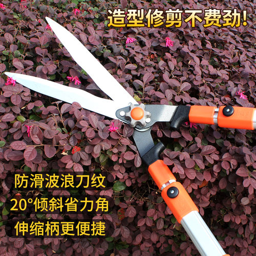 花剪园艺剪刀修枝剪修剪树枝园林工具枝花草枝剪草坪大剪子绿化剪
