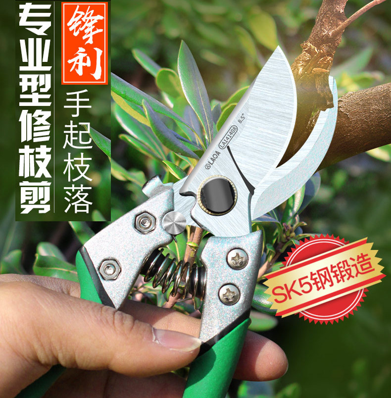 老A 8英寸园林修枝剪刀嫁接园艺剪子花枝修剪树枝剪采果枝剪修花