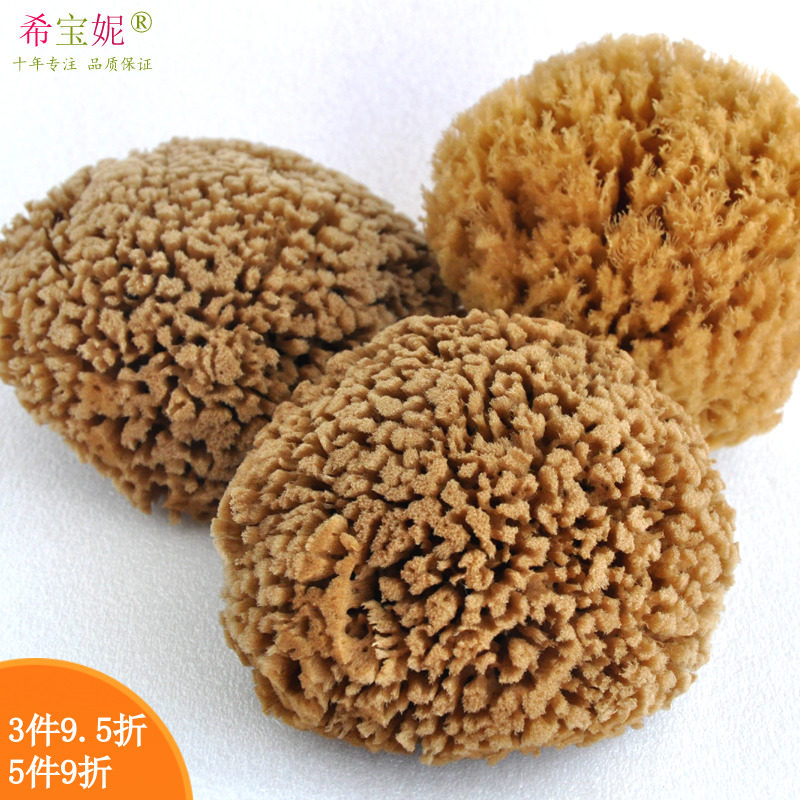 包邮天然海藻绵硬海绵艺术漆硅藻泥拍花工具 非洗脸洗澡浴刷海绵